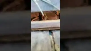 PARATI SOCADA/