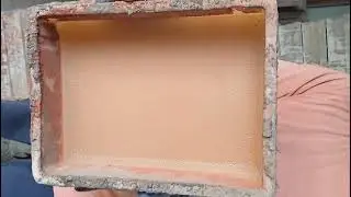 Отзыв клиента из Махараштры после использования Hard&Shine Pigment и Ceracoat