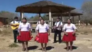 LAS SOLTERITAS.DE PALKA MAYO
