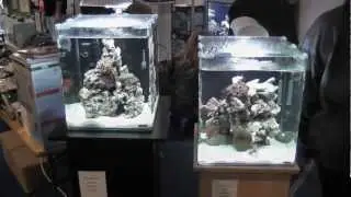 Nano Cube Marinus 30l vs 60l