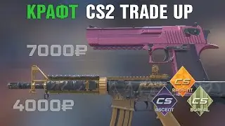 CS2 Tradeup: Ascent, Boreal and Radiant collection RESTRICTED FN (Rare drops)