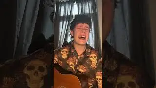 R.I.P. Scott Weiland #guitar #poppunkrock #cover #punkrocklive #guitarcover #stonetemplepilots