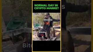 Just a normal day in the Crypto Markets 😂 #shorts
