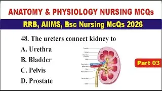 Anatomy & Physiology Nursing MCQs 2026 | RRB, AIIMS, BSc Nursing Exam Preparation McQs 2026