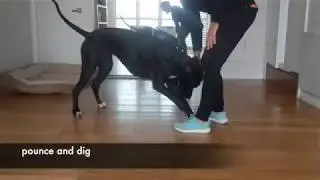 tricks