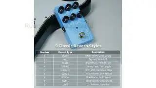 REVIEW (2026): EROK Reverb Pedal - 9 Effects. Features