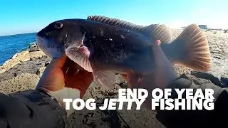End of Year Jetty Tog Fishing With Surprising Results