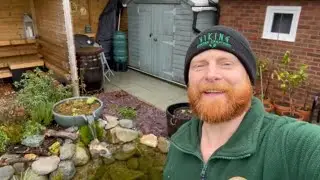 Adding plants to my Aquascape Ecosystem Pond