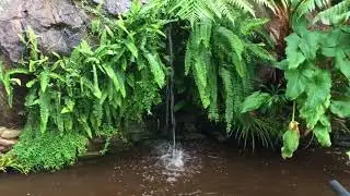 Pond service