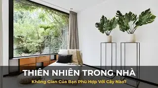 Thiên Nhiên Trong Nhà: Không Gian Của Bạn Phù Hợp Với Cây Nào? | An Gia Life