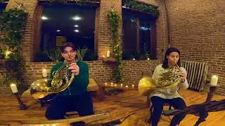 Can't Help Falling in Love - Metropolitan Horn Authority