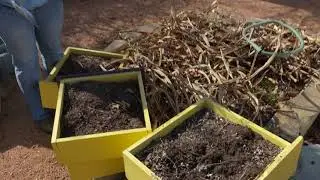 Renovating a Keyhole Garden