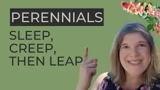 Perennials Sleep, Creep, then Leap