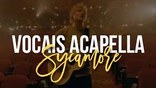 Sycamore - Ed Sheeran (ACAPELLA)
