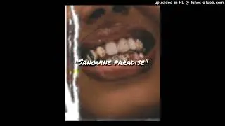 (Sample) Lil double 0 x Mac Critter sample type beat “Sanguine Paradise”