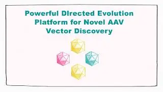 Powerful Directed Evolution Platform for Novel AAV Vector Discovery