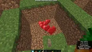 Breedable Killer Rabbit 1.12.2 to 1.14.4 Forge Mod Overview (Tameable with Golden Carrot)