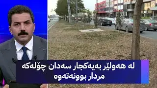 لە هەولێر بەیەکجار سەدان چۆلەکە مردار بوونەتەوە