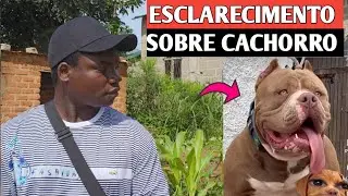 ESCLARECIMENTO SOBRE CACHORROS MAL TRATADOS ESTÁ E A VERDADE 