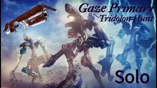 Solo Tridolon with Gaze Primary