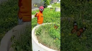 Spider-Man's Floral Adventure #shortvideos #youtubeshorts #spiderman #shorts