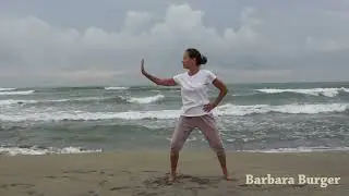 Barbara Burger  -  Taiji Qigong  -  Wildgans