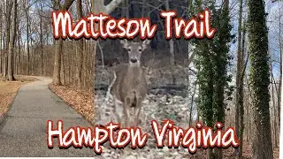 Matteson trail, Hampton Virginia beautiful hikes with amazing views. Seen so many deer!