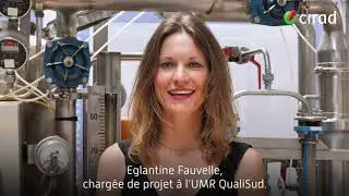 Églantine Fauvelle, chargée du projet RTBfoods au Cirad