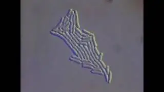 Аудіофайл