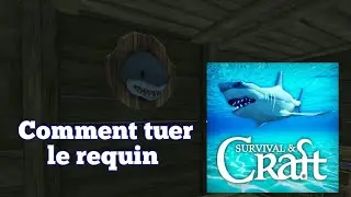 Survive on raft |French vid&eacute;o🇨🇵|Astuce comment tuer le requin