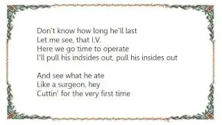Weird Al Yankovic - Like a Surgeon Lyrics