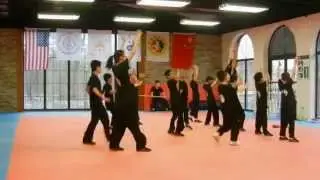 Shaolin Kung Fu & Tai Chi | Our Students!