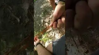 Making a survival rope/cordage #survival #buschraft #camping #primitive