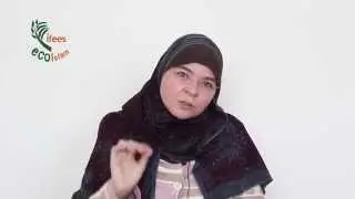 Introduction to Islamic Environmentalism