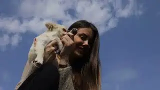 Moj savršeni ljubimac ep. 247 11.03.2024. Čivave
