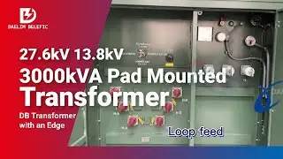 27.6kV 13.8kV 3000kVA Pad Mounted Transformer | Daelim Transformers