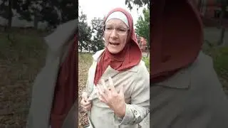 Revert story - How a New Zealander sister embraced Islam