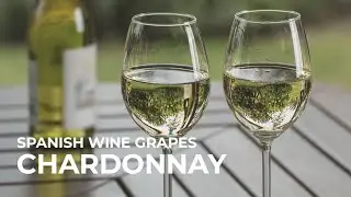 Spanish Wine Grapes: Chardonnay