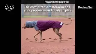 10 Products Should need every Dog Lover | dogs products review 2019 | aliexpress