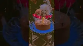 pixie birthday ✨