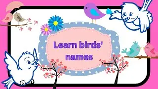 Bird Names and Sounds for Kids' Learning/Learn to Identify Birds by Their Calls/Learn Birds Name