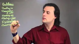 10 Examples of Endothermic Reactions in Everyday Life : Physics Concepts