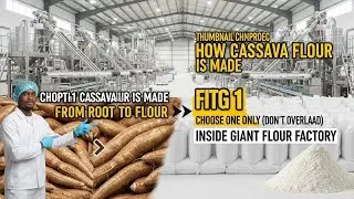 How Giant Cassava Flour Is Made in a Fully Automated Smart Factory | Start to Finish Process 