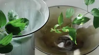 tiflo（ティフロ）｜時とともに息づく、家具とインテリア