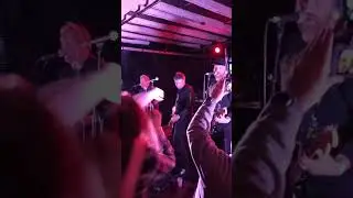 The Dopamines 
