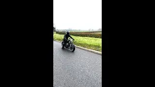 Your dream Bobber