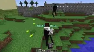 AoceTW - How to ride and control pets? (MyPet Plugin)