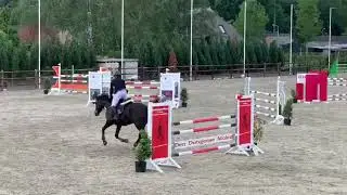 Annahoeve&rsquo;s Virgino VKZ
