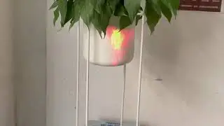 Mapping Material Experiment