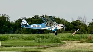 Sig 1/4 scale Clipped Wing Cub Re-Maiden